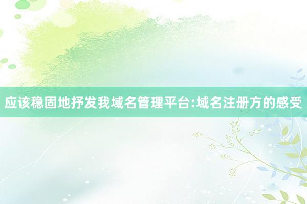 应该稳固地抒发我域名管理平台:域名注册方的感受